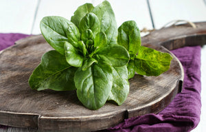 The healthiest foods in the world. Spinach